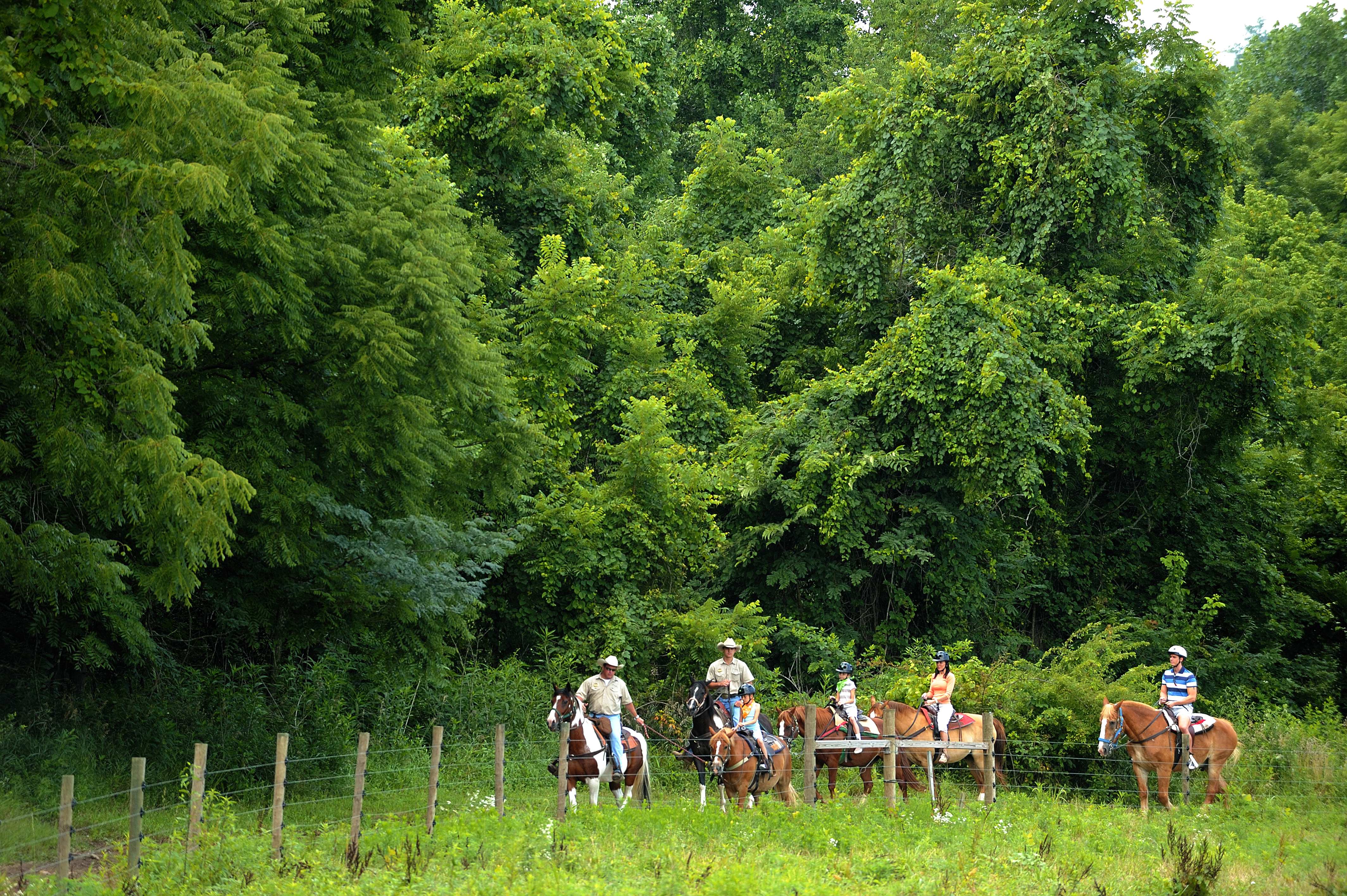 a group of people riding horses