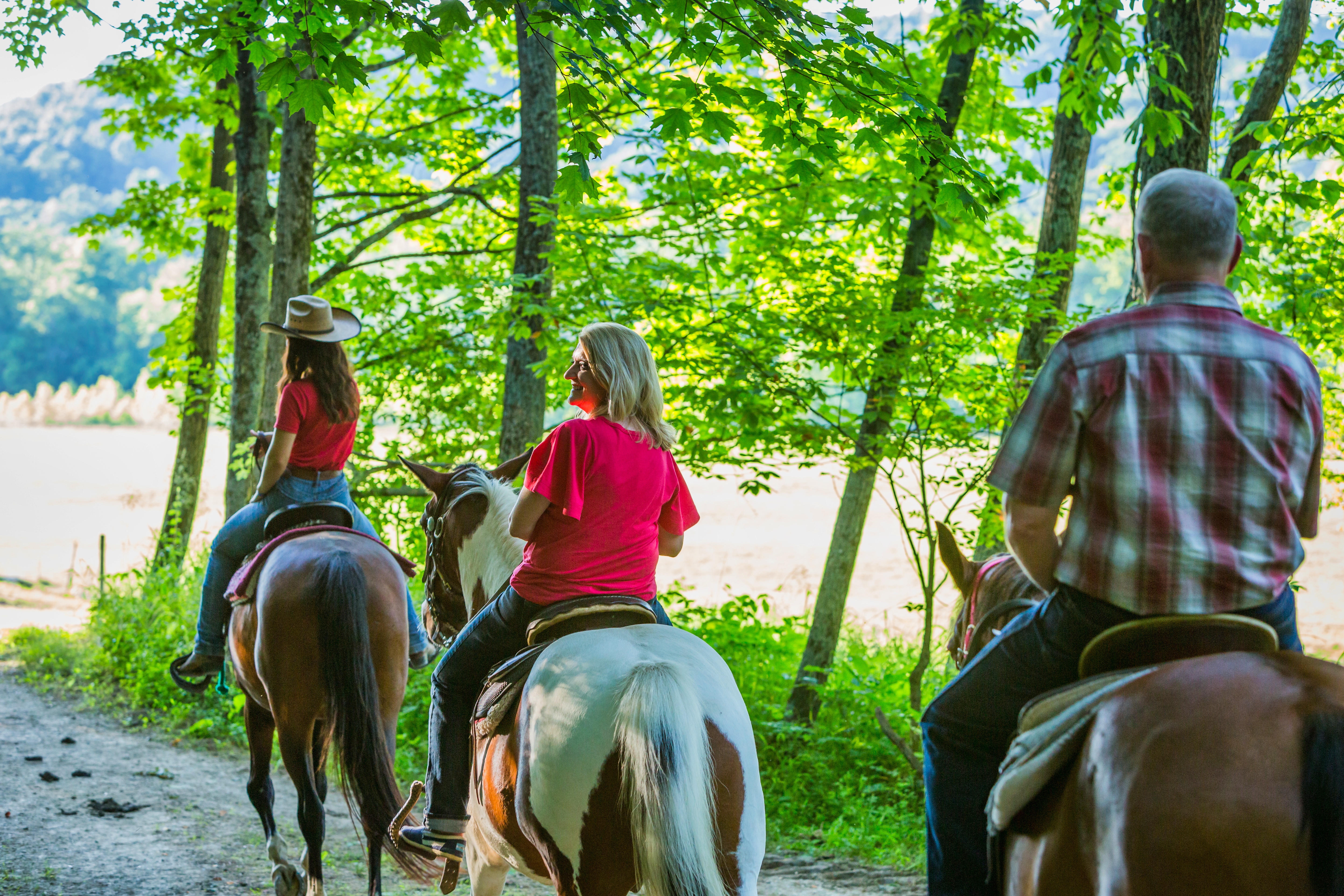 people riding horses in the woods