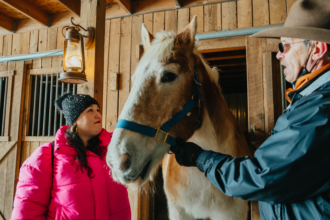 a woman petting a horse