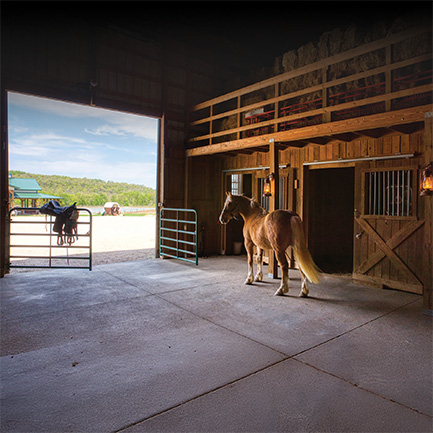 Stables Behind the Scenes