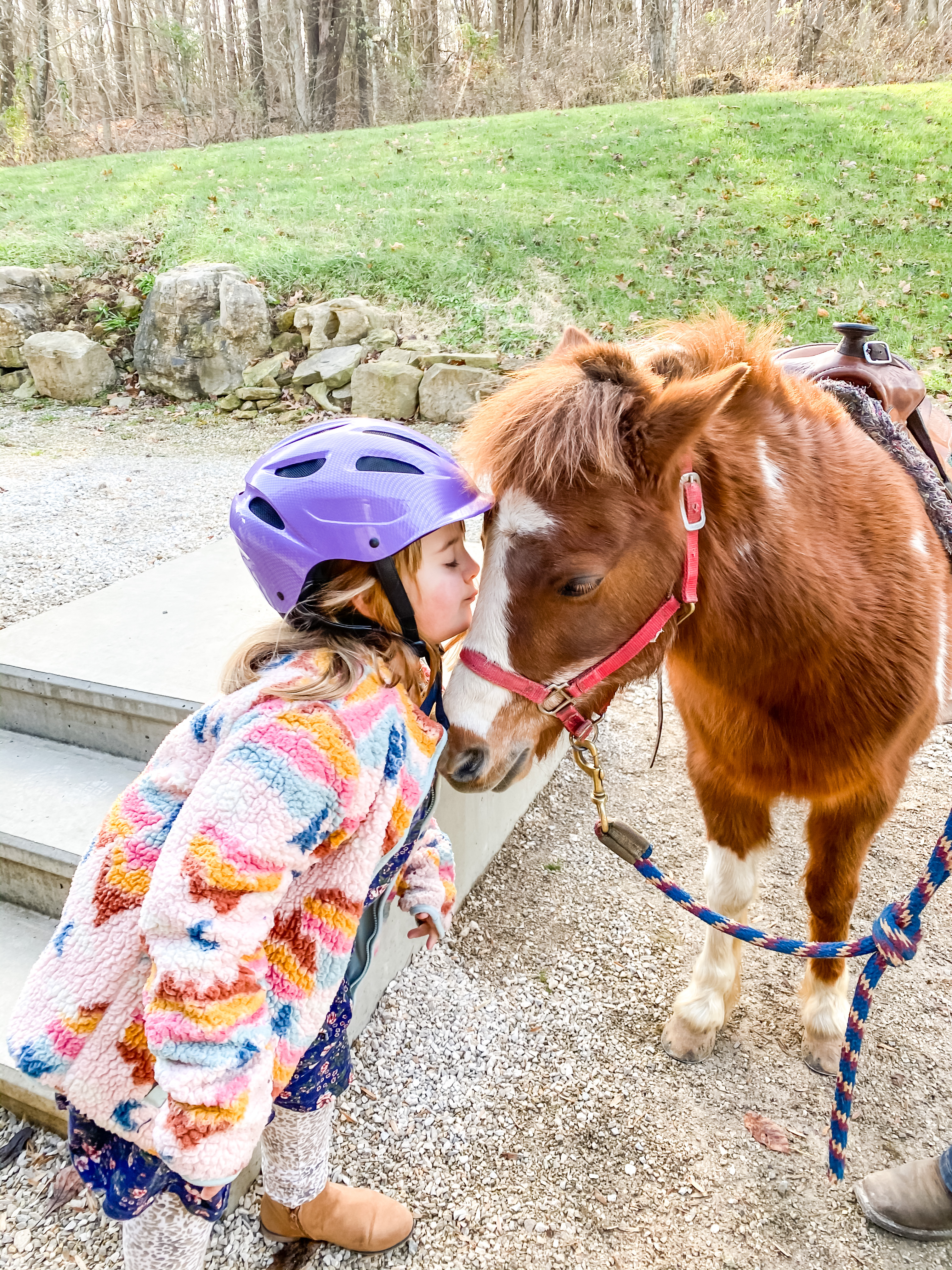 a girl kissing a horse