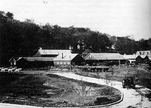 a black and white photo of a road and buildings