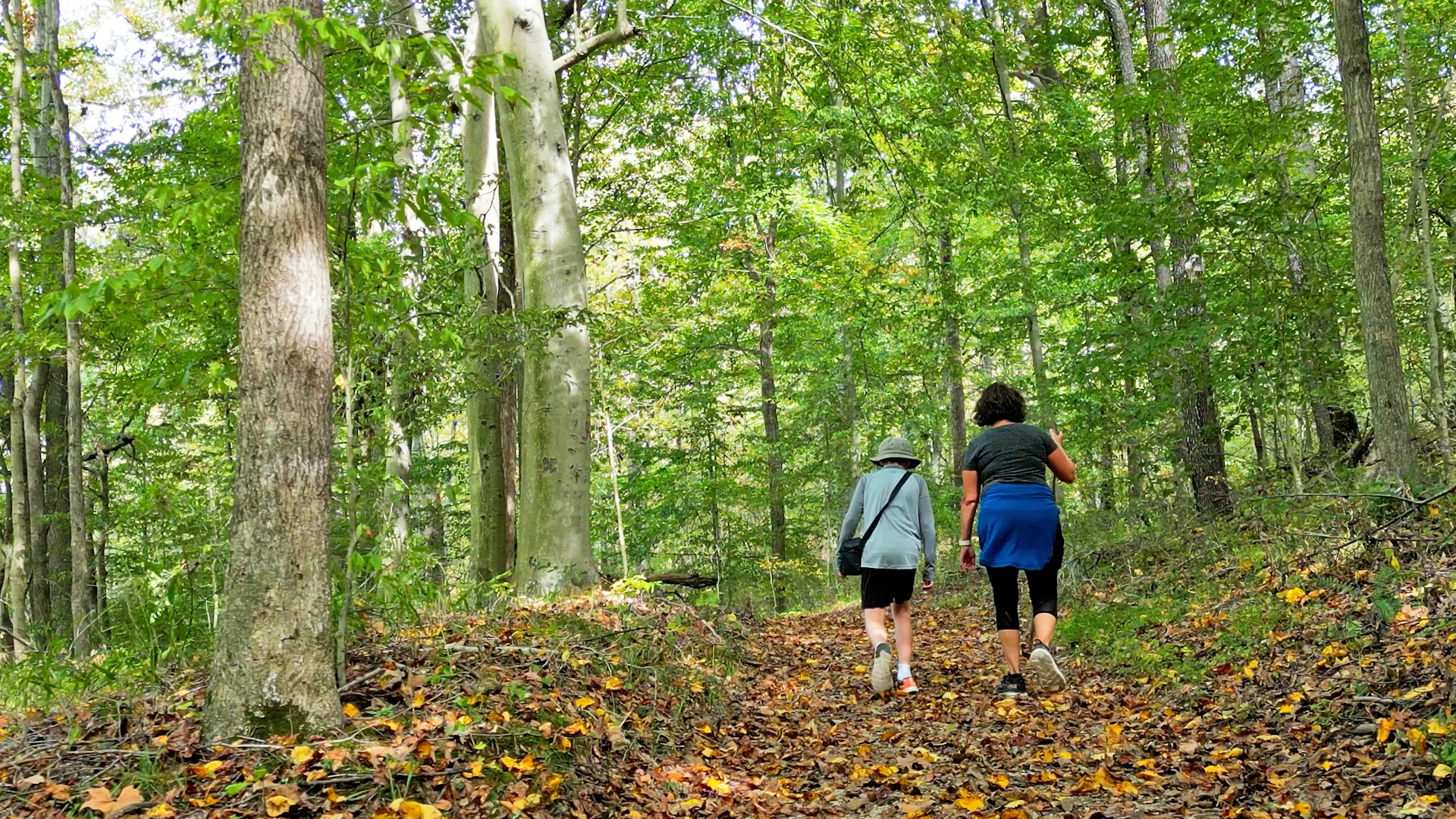 two people walking in the woods