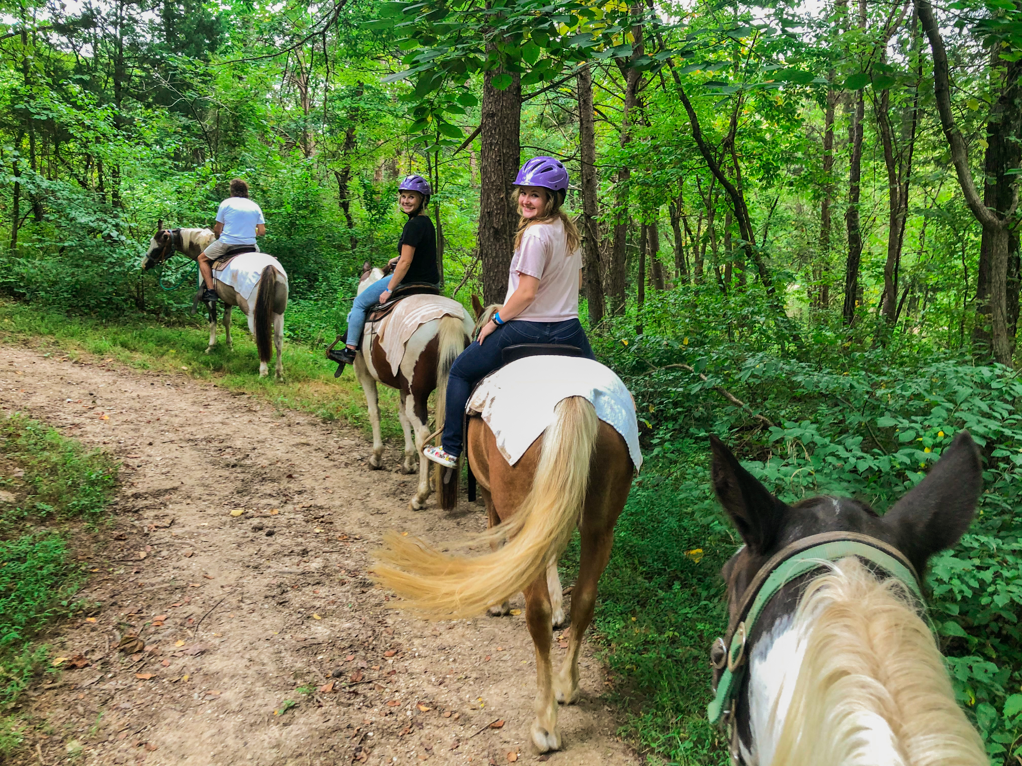 a group of people riding horses on a dirt path in the woods